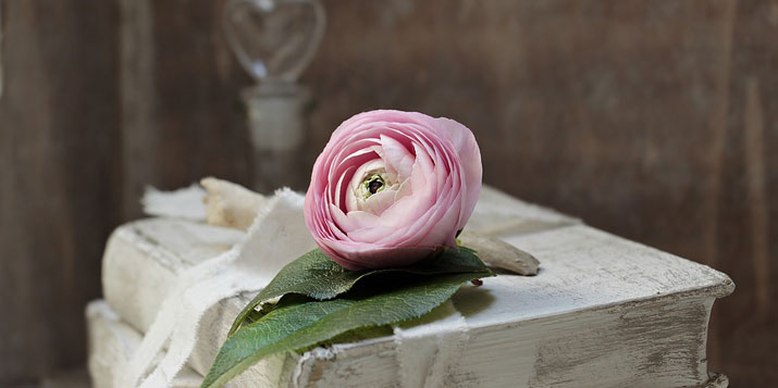 ¿Cuáles son los horóscopos más compatibles? - horoscopos-de-hoy.com